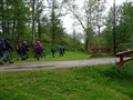 2012-06-02, vårvandring, bild 372.JPG