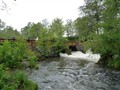 2012-06-02, vårvandring, bild 374.JPG