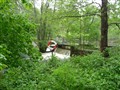 2012-06-02, vårvandring, bild 387.JPG