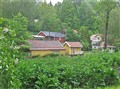 2012-06-02, vårvandring, bild 9235.JPG