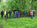 IMG_4166.JPG