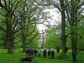 IMG_4167.JPG