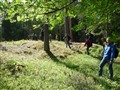 P1010579.JPG