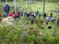 vårsnok 2010_104.JPG