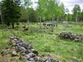 vårsnok 2010_106.jpg