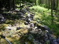 vårsnok 2010_107.jpg