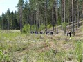 vårvandring 2009-100116.JPG