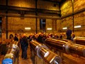 vårvandring 2009-10013.JPG