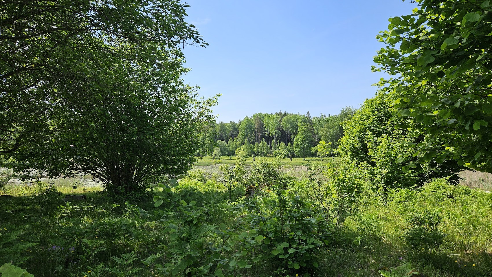 20240601_112815.jpg