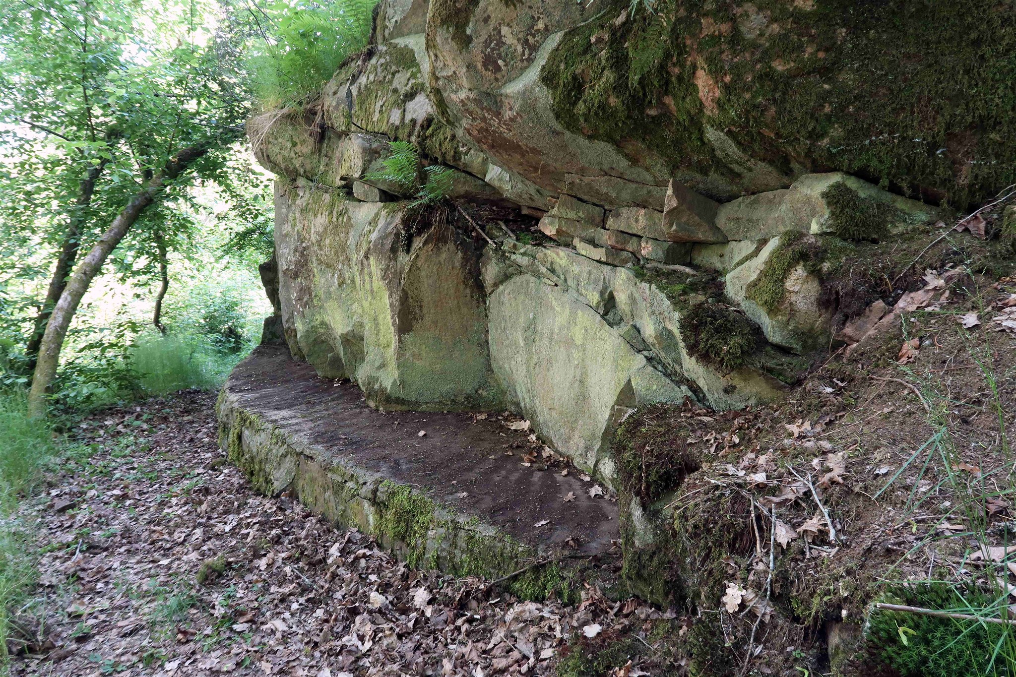 Grotta_Grandelius_park_2.jpg