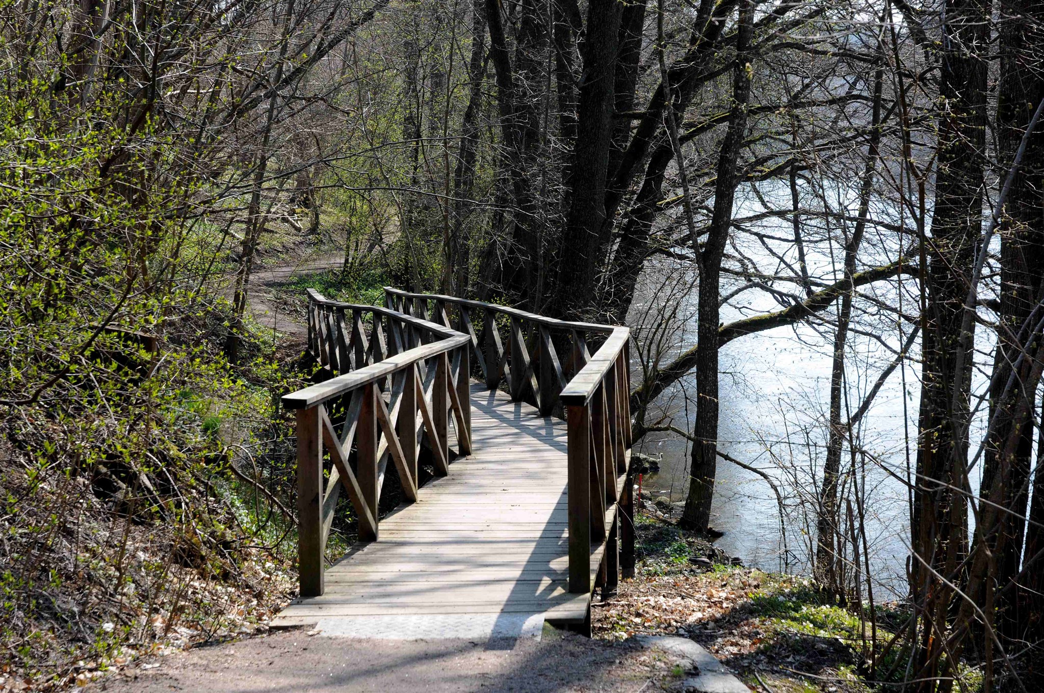 Hållets_naturreservat_Nyköping_2.jpg
