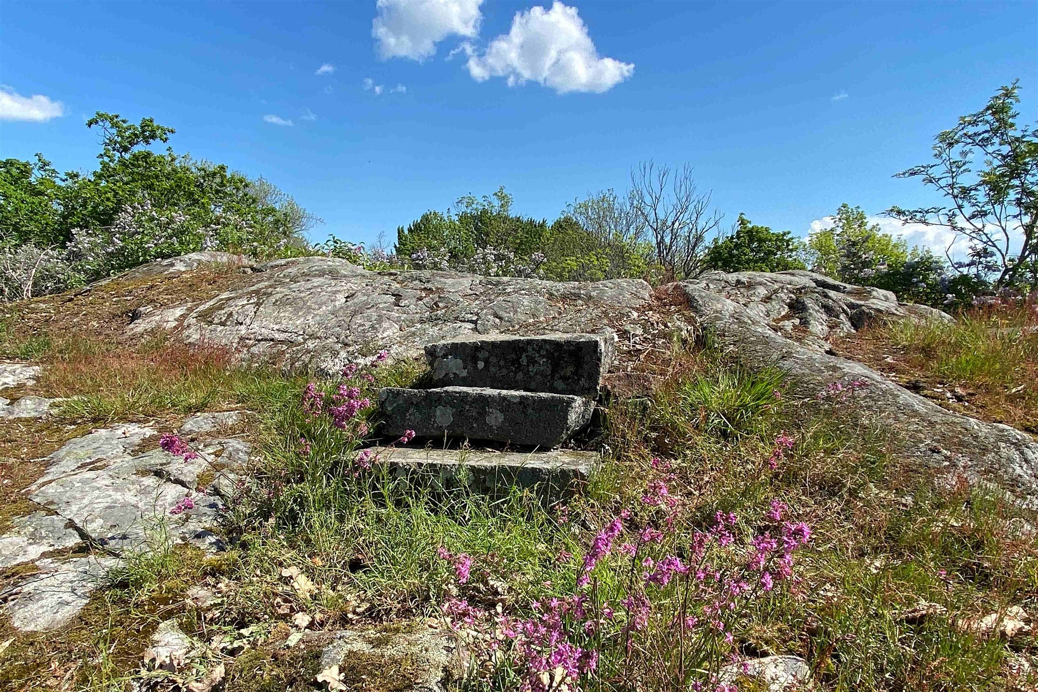 Toppen_på_Grandelius_park_2.jpg