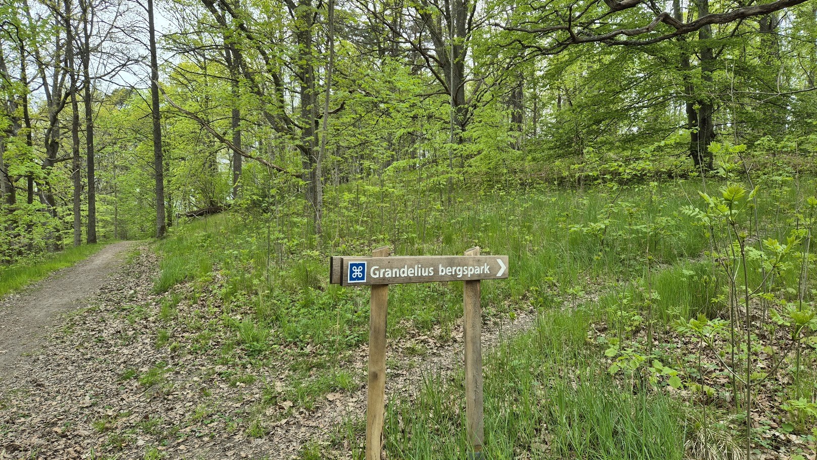 vårvandring 2025 bild 1.jpg