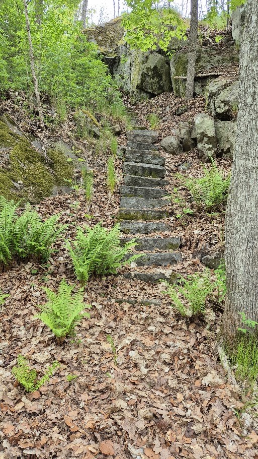 vårvandring 2025 bild 2.jpg