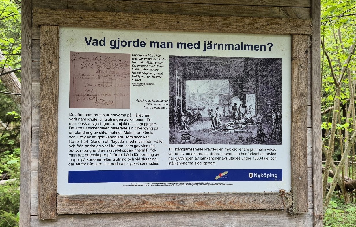vårvandring 2025 bild 8_2.jpg
