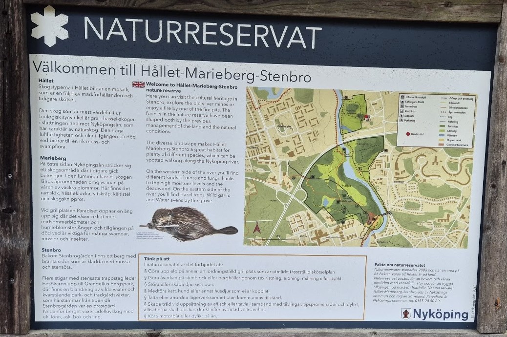 vårvandring 2025 bild 9_2.jpg